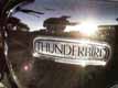 Chrome on friend Sloan's Triumph Thunderbird